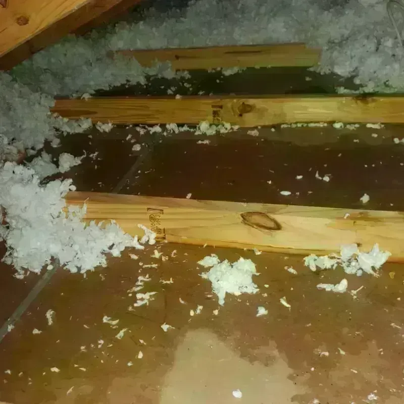 Attic Water Damage in Amelia Court House, VA