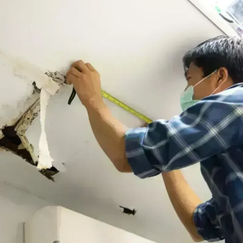 Ceiling And Wall Water Damage in Amelia Court House, VA